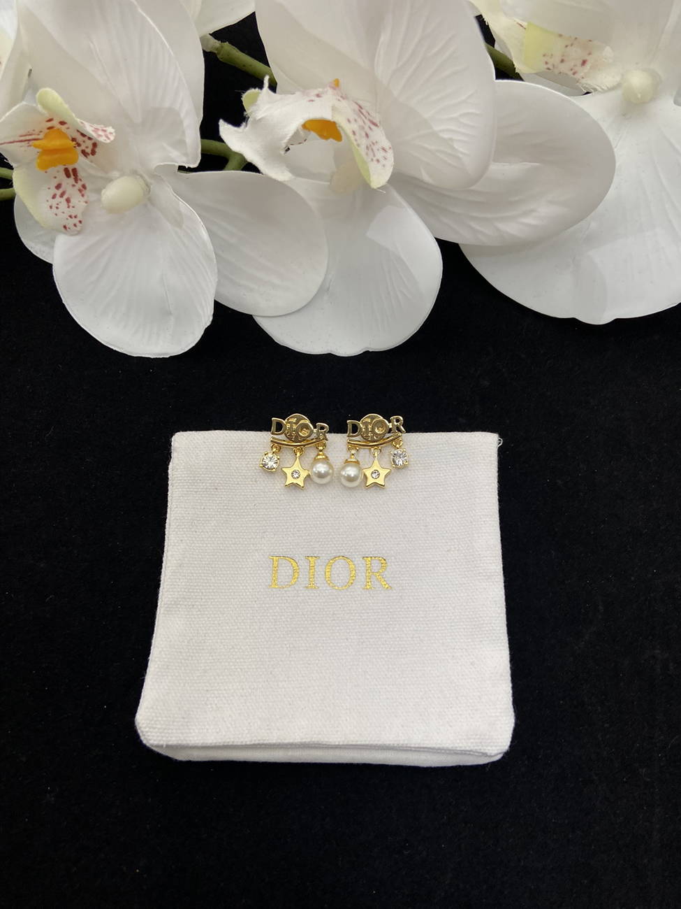 Dior Earrings (11) - www.newkick.org